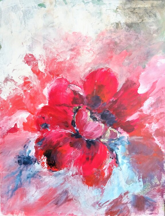 Gefüllter Mohn Ute Lempp