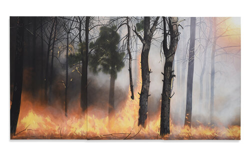 "Feuer" by Barbara Breyer, 油畫 for Sale on Singulart