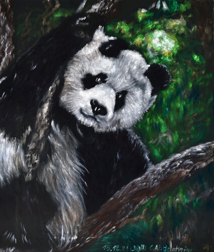 Pandabär van Claudia Luethi alias Abdelghafar, Schilderij te koop op Singulart