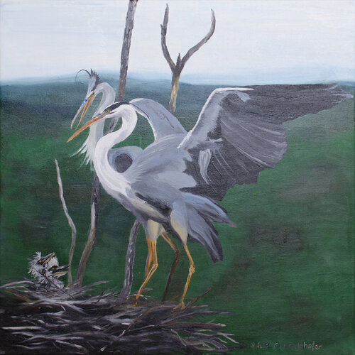 Graureiher Familie by Claudia Luethi alias Abdelghafar, Painting for Sale on Singulart