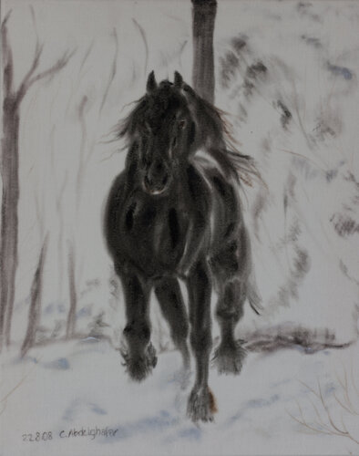 Friese - winterlicher Freigeist di Claudia Luethi alias Abdelghafar, Pittura in vendita su Singulart