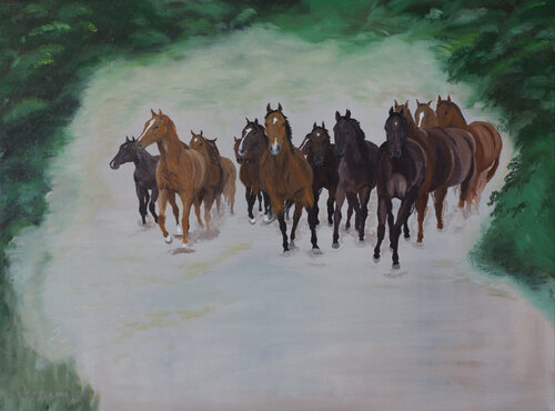 Junge wilde Pferdeherde by Claudia Luethi alias Abdelghafar, Painting for Sale on Singulart