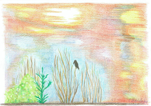 Abendstimmung mit Krähe by Claudia Luethi alias Abdelghafar, 소묘 for Sale on Singulart