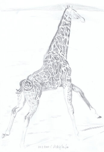 Giraffe im Galopp de Claudia Luethi alias Abdelghafar, Dibujo a la venta en Singulart