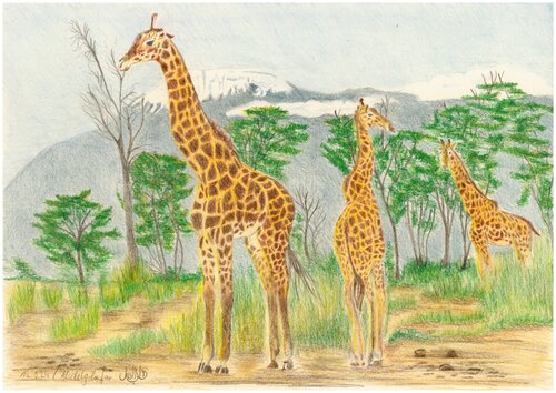 Giraffen-Triologie de Claudia Luethi alias Abdelghafar, Dibujo a la venta en Singulart