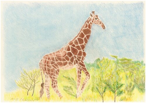 Netzgiraffe de Claudia Luethi alias Abdelghafar, Dibujo a la venta en Singulart