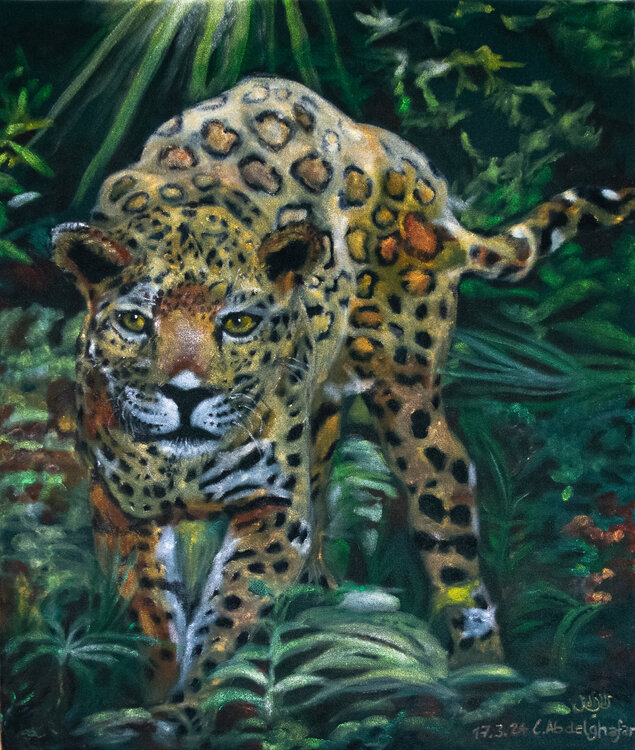 Jaguar Claudia Luethi alias Abdelghafar