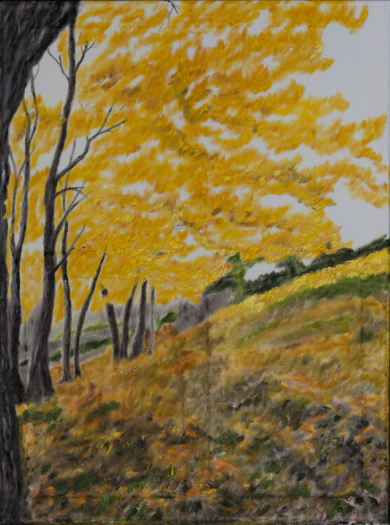 Herbstwald Claudia Luethi alias Abdelghafar
