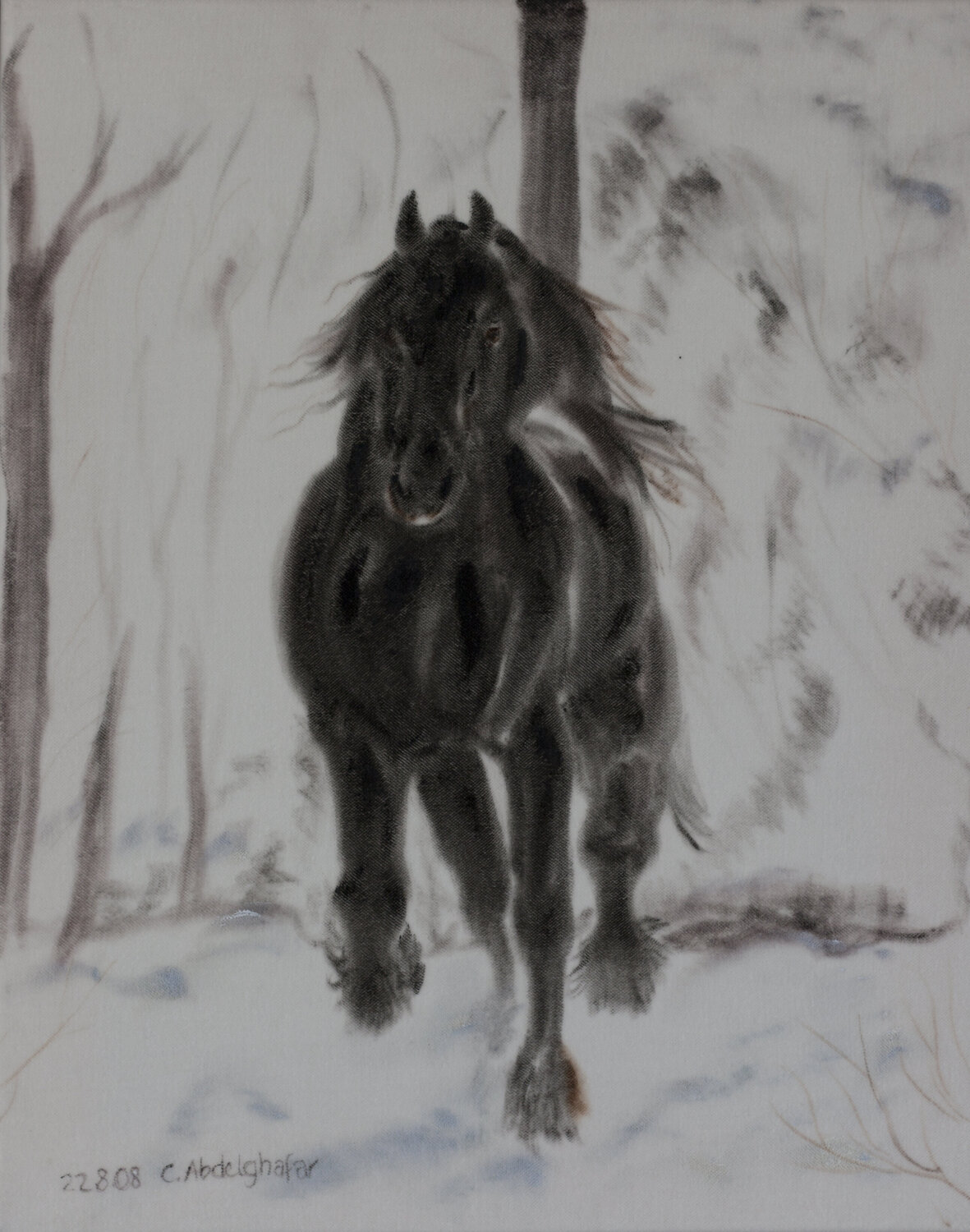 Friese - winterlicher Freigeist Claudia Luethi alias Abdelghafar