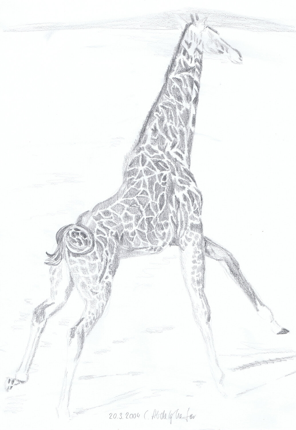 Giraffe im Galopp Claudia Luethi alias Abdelghafar
