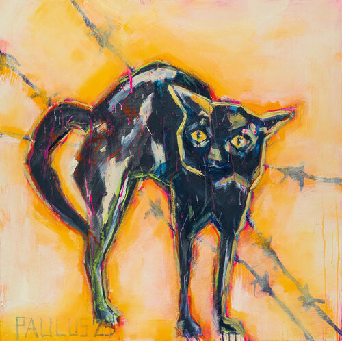 Schwarze Katze Tina Paulus