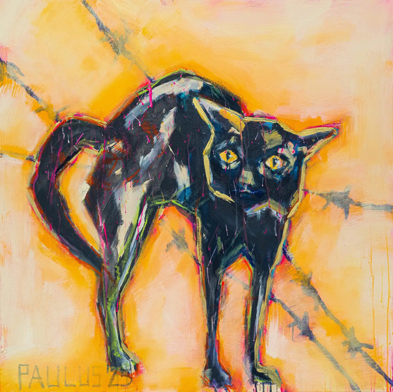 Schwarze Katze Tina Paulus
