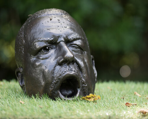 Artificial Turf (self-portrait) von Ton Voortman, Skulptur kaufen auf Singulart