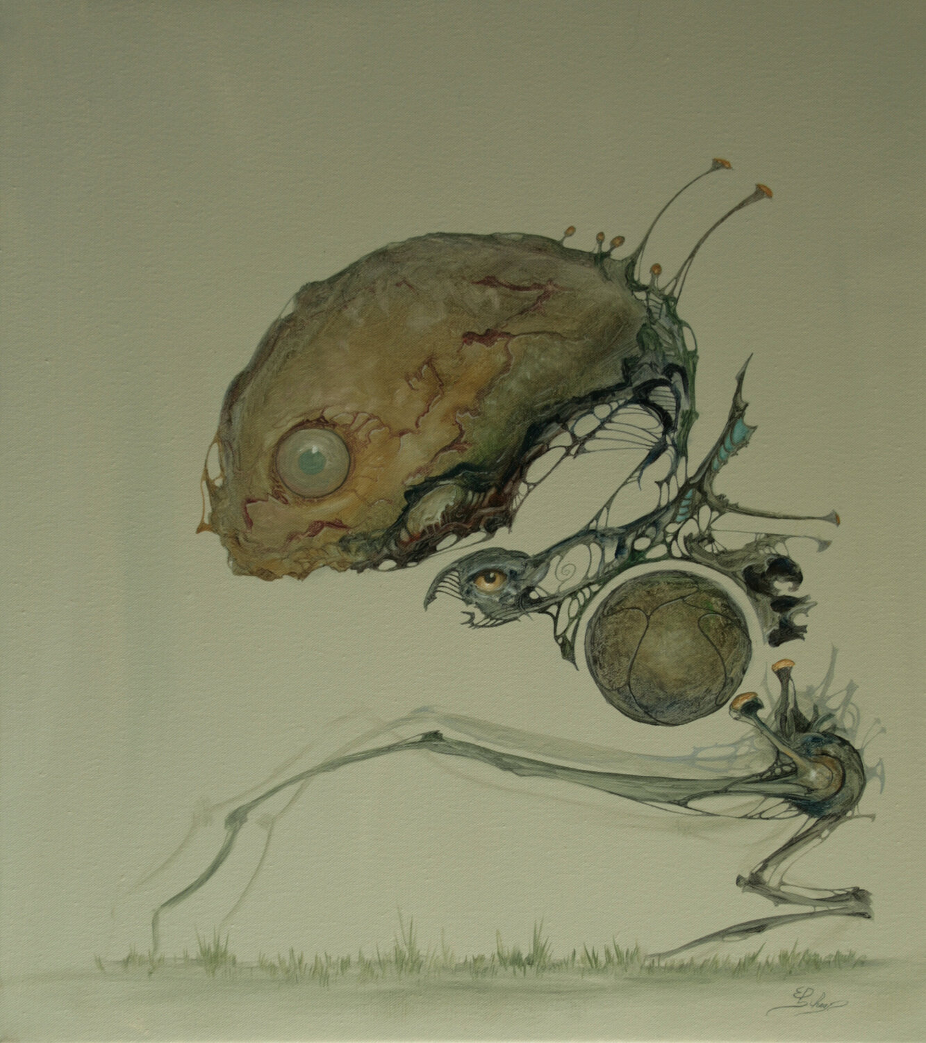 Détecteur Ed Schaap