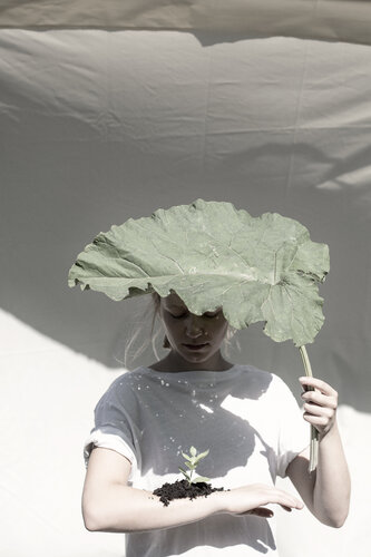 Nachhaltigkeit_1 von Hanna Tomin, Fotografie kaufen auf Singulart