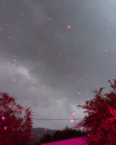 Rain von Hanna Tomin, Fotografie kaufen auf Singulart