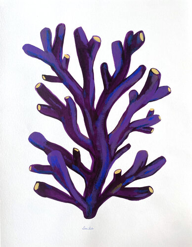 Herbier marin n°2 von Lonidia, Malerei kaufen auf Singulart