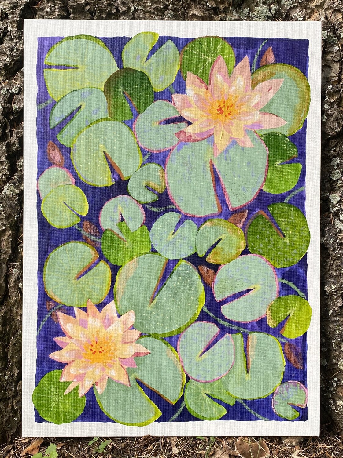 Les jardins d'eau n°3 Lonidia