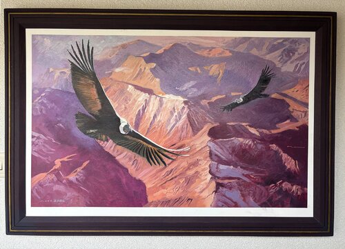 Condors circling above the Andes. von Gerald Miles, Malerei kaufen auf Singulart