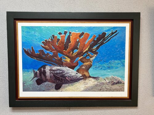 Giant Grouper with Elk horn Coral van Gerald Miles, Schilderij te koop op Singulart