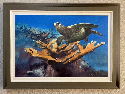 Green Sea Turtle de Gerald Miles, Pintura a la venta en Singulart