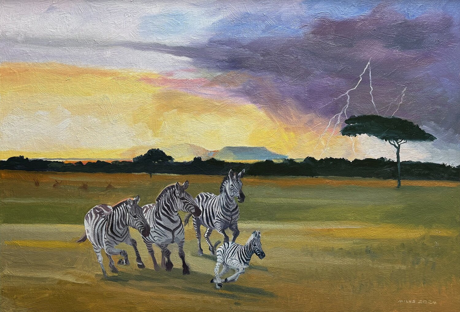 Storm approaching the Serengeti Gerald Miles