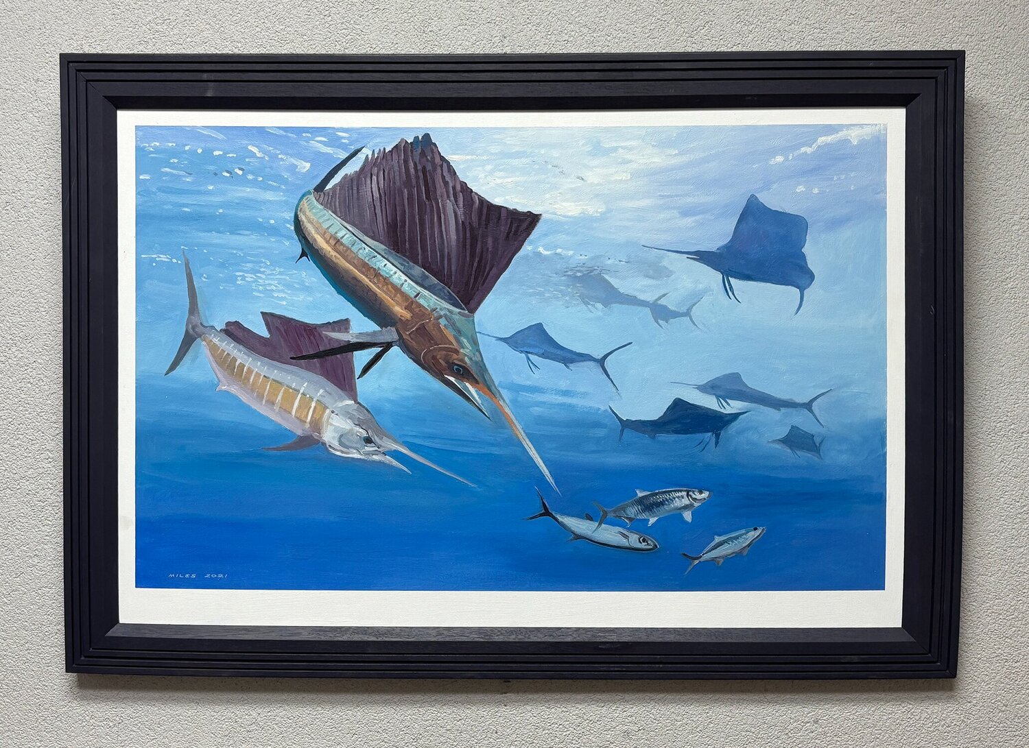 Sailfishes Gerald Miles