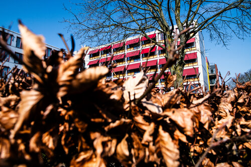 Hidden in Plain Sight by Nienke Koedijk, 사진 for Sale on Singulart