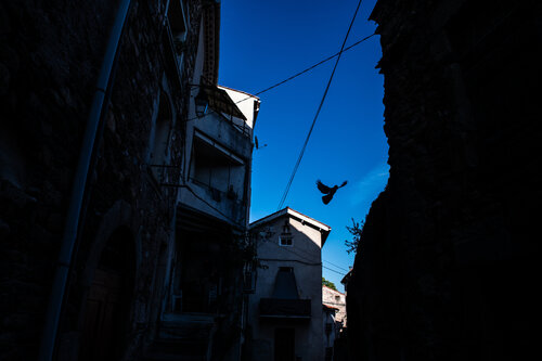 Late Light by Nienke Koedijk, 사진 for Sale on Singulart