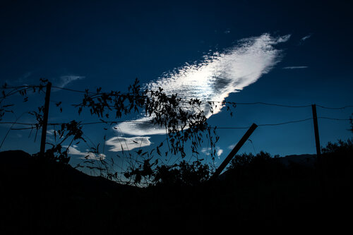 A Pause in Light by Nienke Koedijk, 사진 for Sale on Singulart