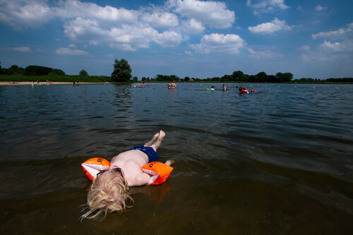 Gentle Exploration by Nienke Koedijk, 사진 for Sale on Singulart