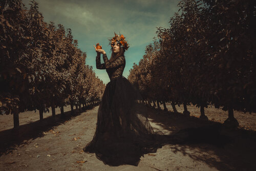 Elegía de Otoño von Jorge Kánovas, Fotografie kaufen auf Singulart