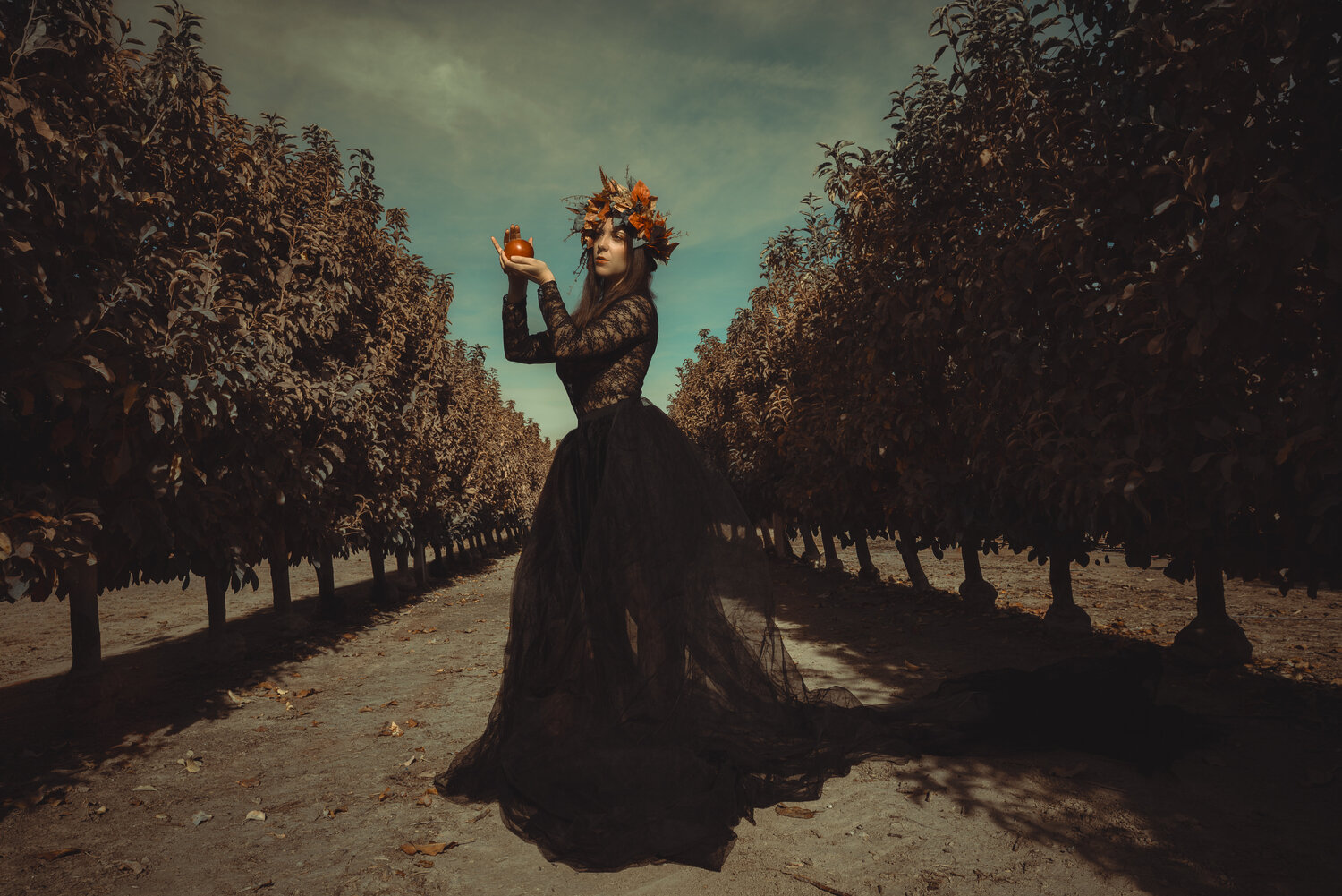 Elegía de Otoño Jorge Kánovas