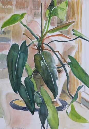 Rubber Plant di Ruth Schreiber, Opera su carta in vendita su Singulart