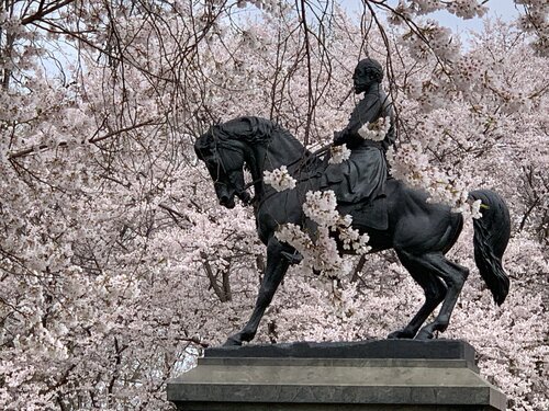 Riding in the Blossom di Ruth Schreiber, Fotografia in vendita su Singulart