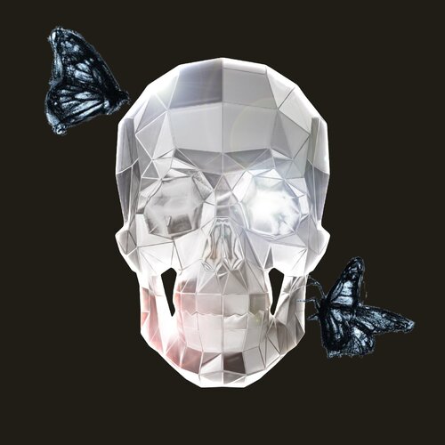 Chrome Skull van Marily Vaillancourt, Schilderij te koop op Singulart