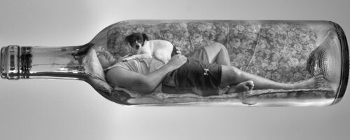 PERROS - formato XXL von El Pop surrealista Ortega, Fotografie kaufen auf Singulart