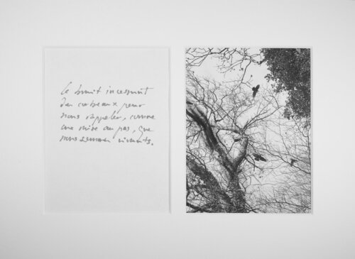 Unsui I by Jorge Canete, 종이 for Sale on Singulart