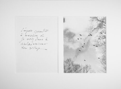 Unsui III by Jorge Canete, 종이 for Sale on Singulart