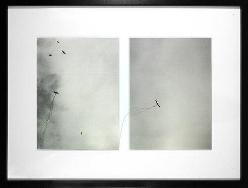 Auspicium double I van Jorge Canete, Fotografie te koop op Singulart