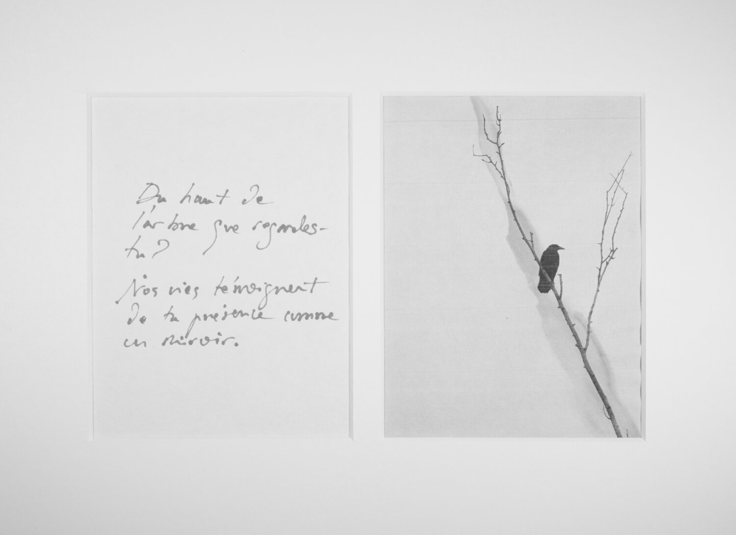 Unsui IV Jorge Canete