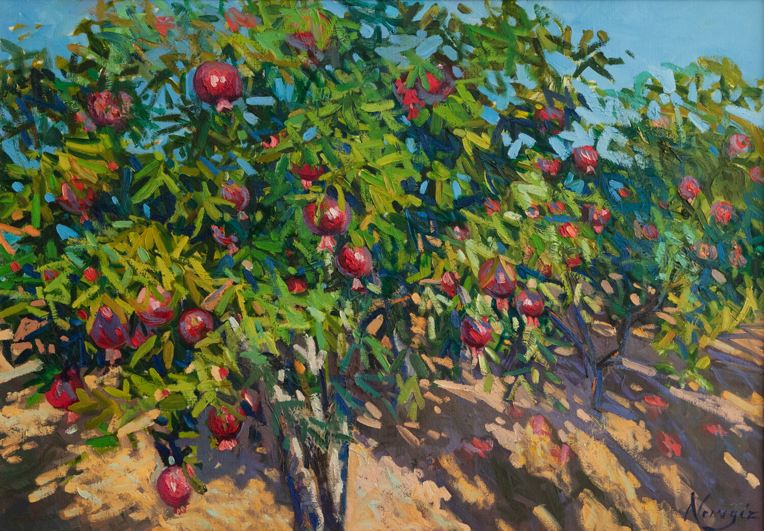 Pomegranate tree Nargiz Guliyeva