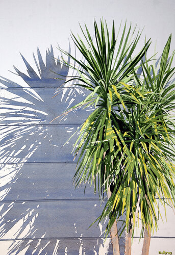 Auckland Palm di Stephen J Bragg, Opera su carta in vendita su Singulart