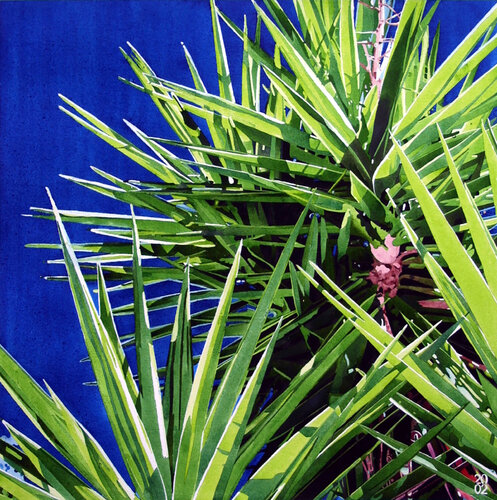 Blue Palm 1 di Stephen J Bragg, Opera su carta in vendita su Singulart