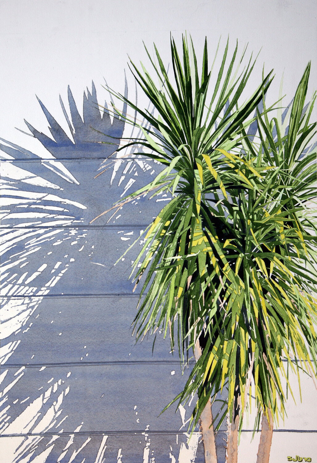 Auckland Palm Stephen J Bragg