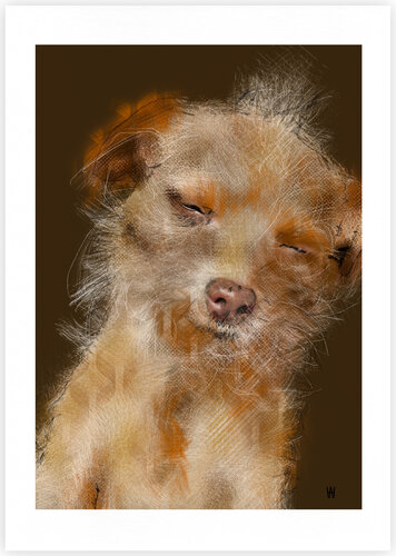 Chihuahua Miss Dusty Monkey von Wiebke Aschemann, Druck kaufen auf Singulart