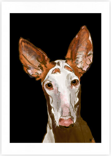 Podenco di Wiebke Aschemann, Stampa in vendita su Singulart