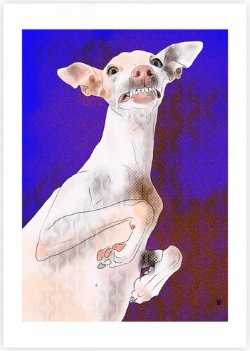 Iggy grinst by Wiebke Aschemann, Print for Sale on Singulart