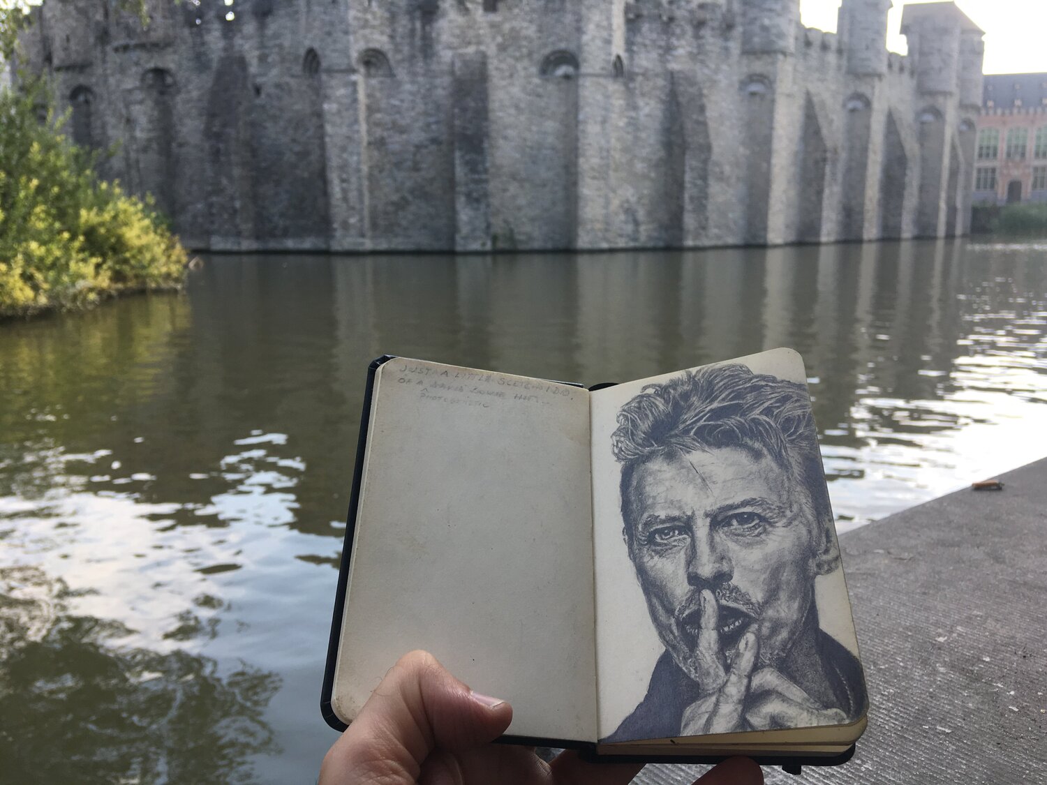 Bowie Geert De Vuyst