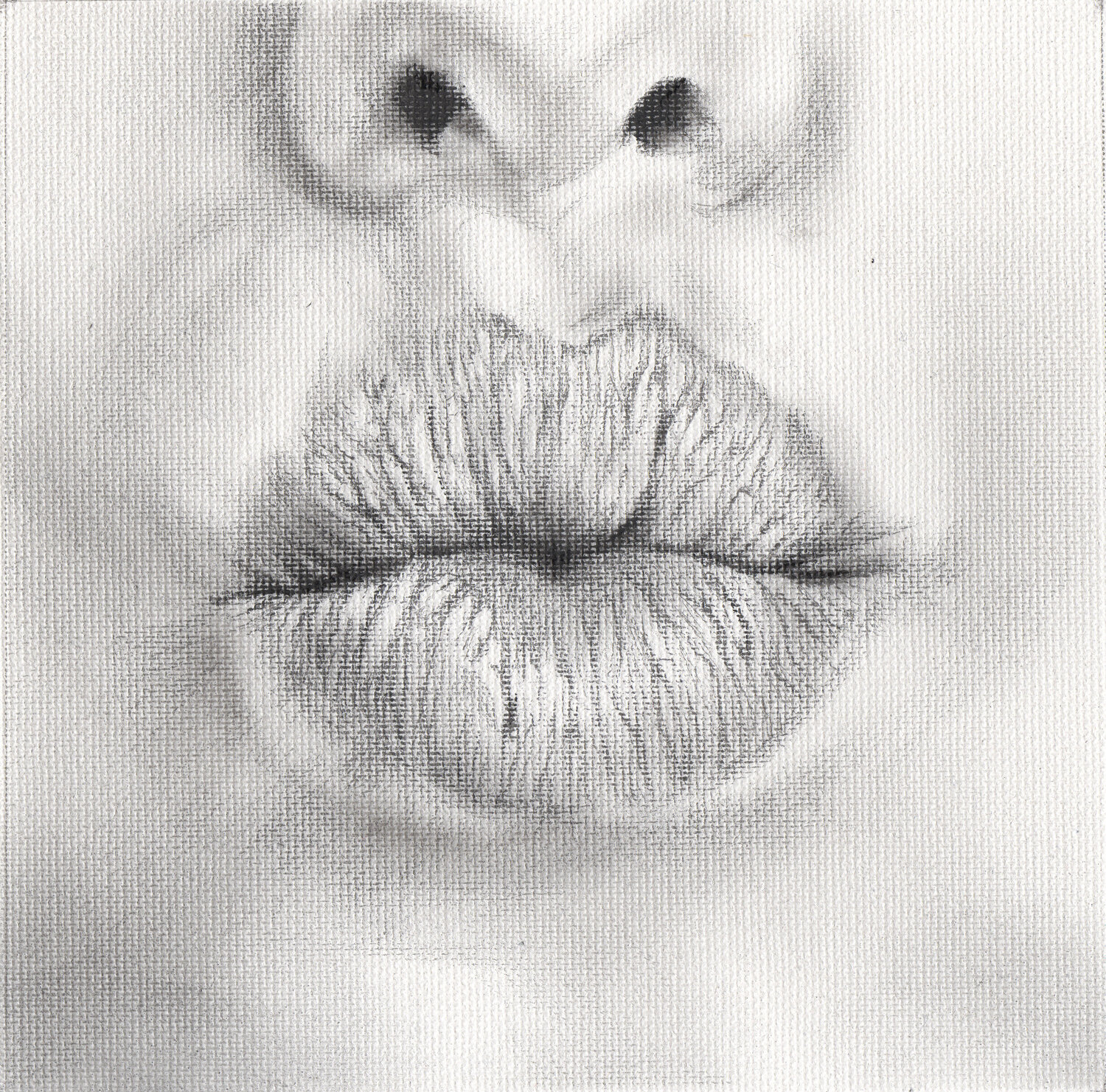 Talk to me N.002 Veronica Colanero